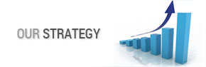 Our Strategy